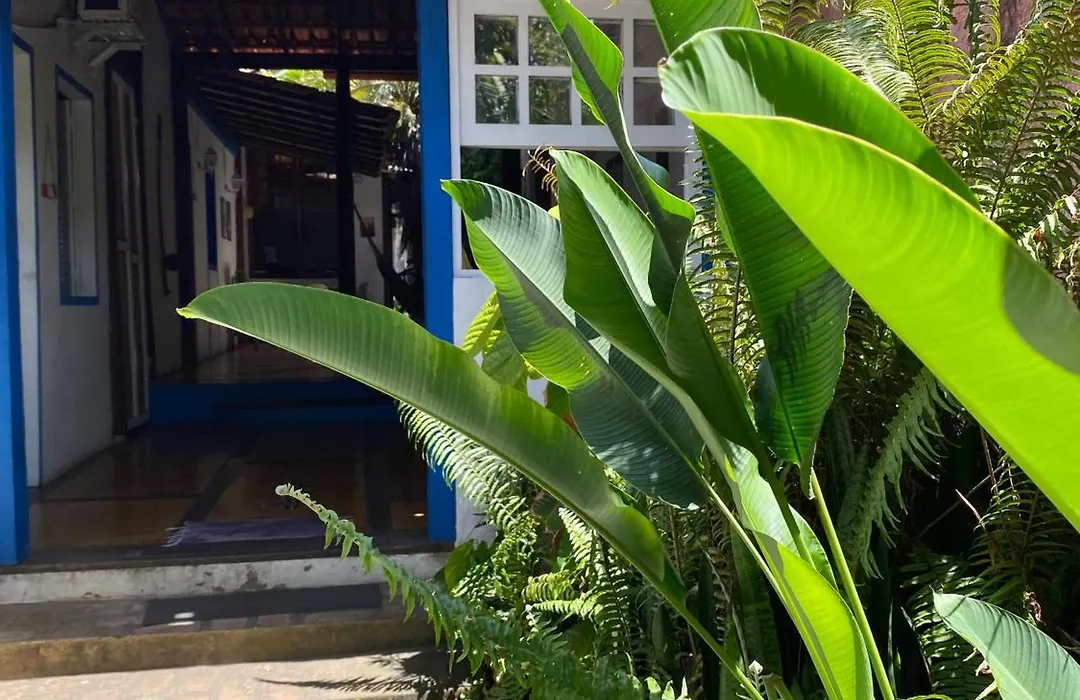 Tropicália Hostel e Pousada-1